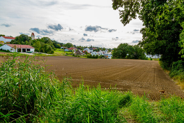 Thumbnail: _JA 40829 Kirche, Hohenried Nordost.jpg